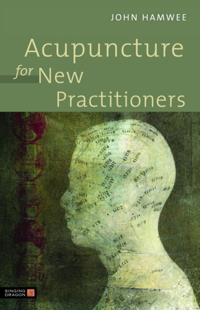 Acupuncture for New Practitioners, EPUB eBook