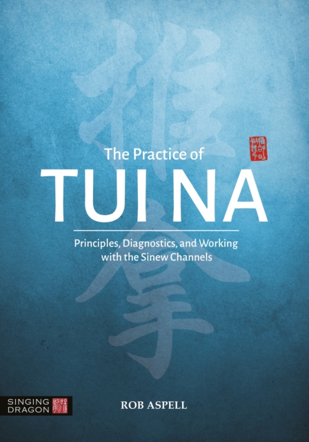The Practice of Tui Na : Principles, Diagnostics and Working with the Sinew Channels, EPUB eBook