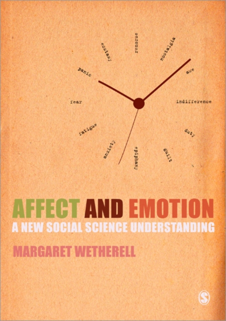 Affect and Emotion : A New Social Science Understanding, Paperback / softback Book