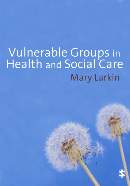 Vulnerable Groups in Health and Social Care, PDF eBook