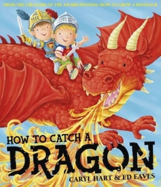 How To Catch a Dragon, Paperback / softback Book