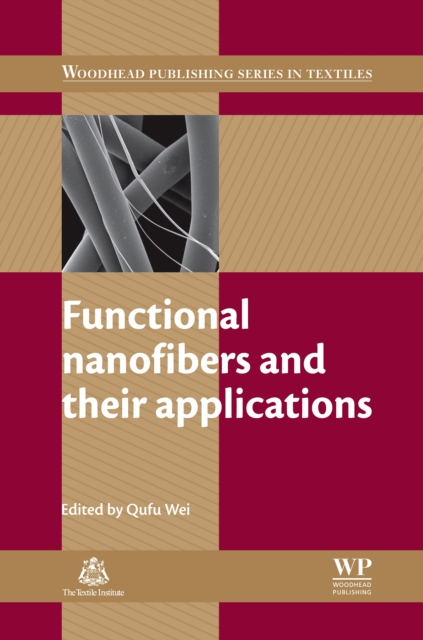 Functional Nanofibers and their Applications, EPUB eBook