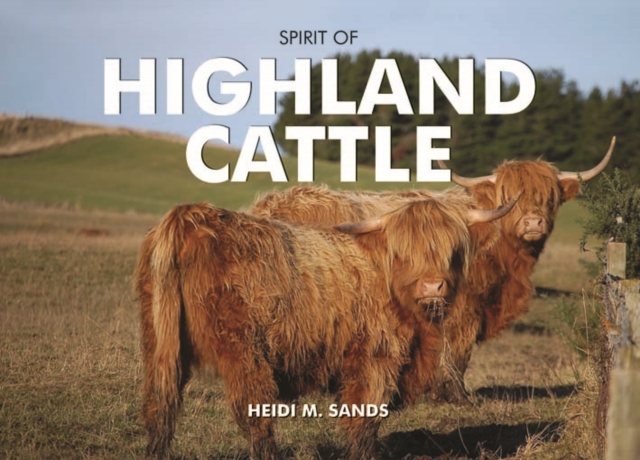 Spirit of Highland Cattle, Hardback Book