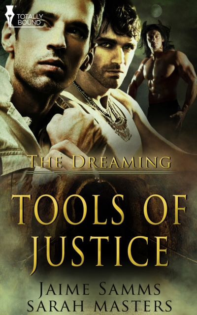 Tools of Justice, EPUB eBook