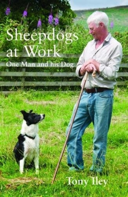 Sheepdogs at Work : One Man and His Dog, Paperback / softback Book