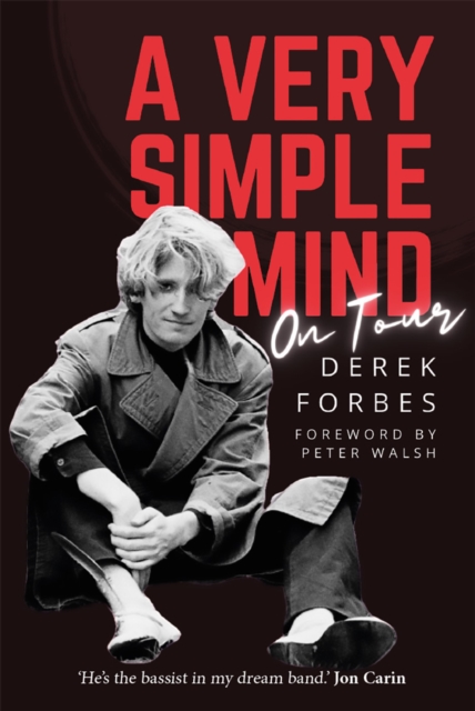 A Very Simple Mind, EPUB eBook