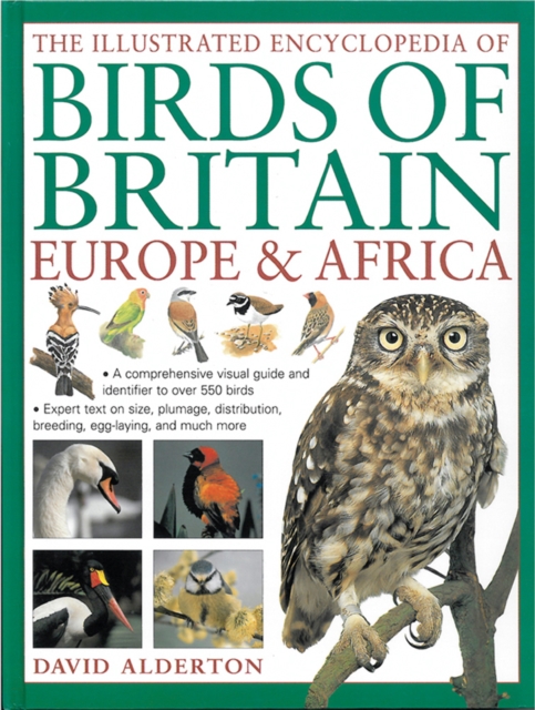 The Illustrated Encyclopedia of Birds of Britain Europe & Africa : A Comprehensive Visual Guide and Identifier to Over 550 Birds, Hardback Book