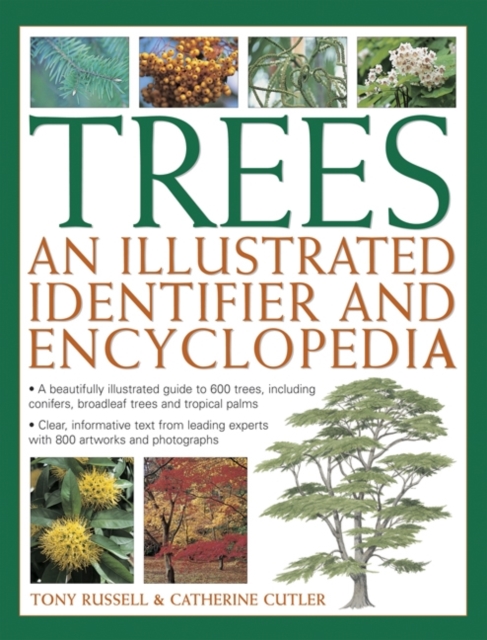 Trees: An Illustrated Identifier and Encyclopedia : A Beautifully Illustrated Guide to 600 Trees, Including Conifers, Broadleaf Trees and Tropical Palms, Paperback / softback Book