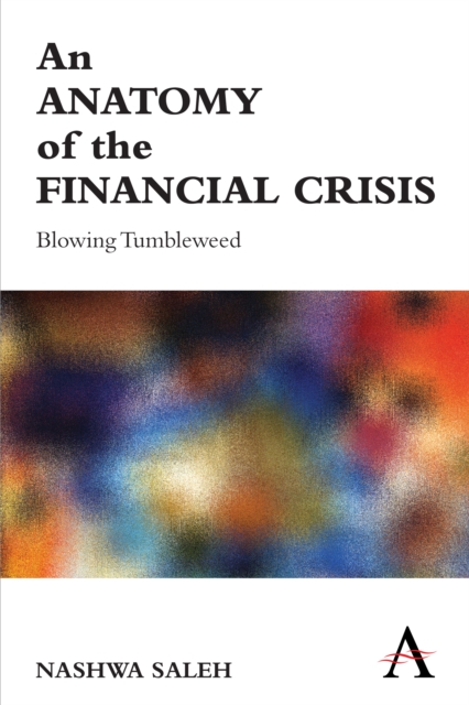 An Anatomy of the Financial Crisis : Blowing Tumbleweed, Paperback / softback Book