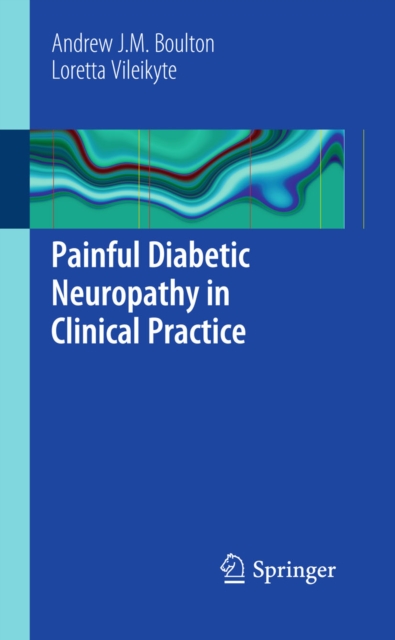 Painful Diabetic Neuropathy in Clinical Practice, PDF eBook