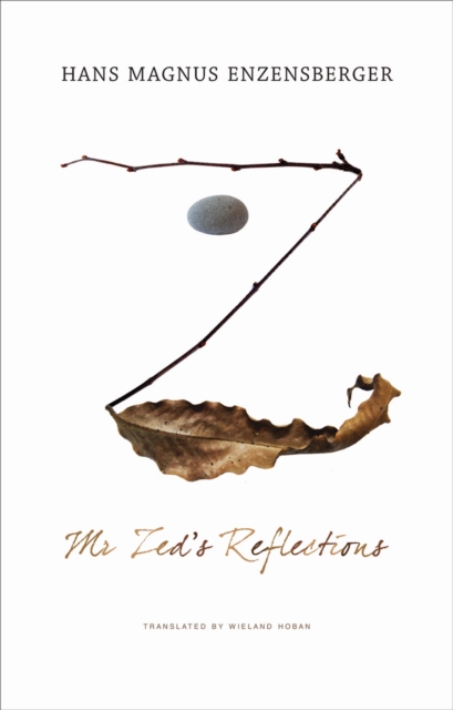 Mr. Zed's Reflections, Hardback Book