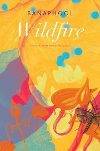 Wildfire : And Other Stories, Paperback / softback Book