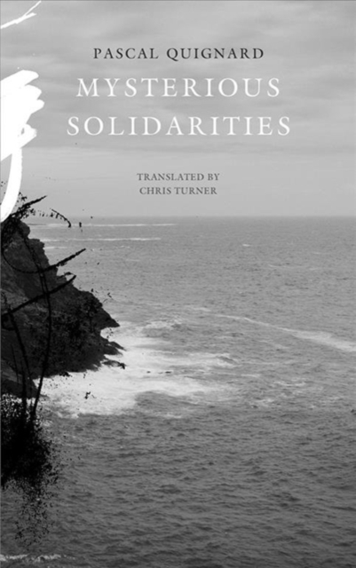 Mysterious Solidarities, Hardback Book