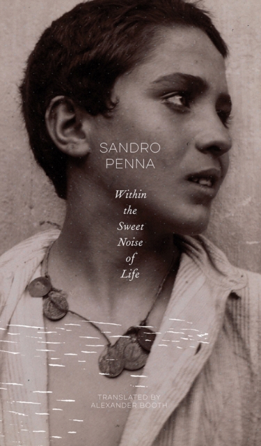 Within the Sweet Noise of Life : Selected Poems, Hardback Book
