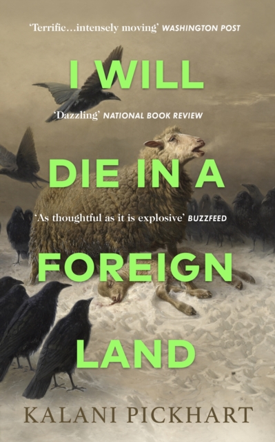 I Will Die in a Foreign Land, Hardback Book