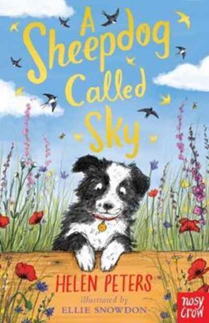 A Sheepdog Called Sky, Paperback / softback Book