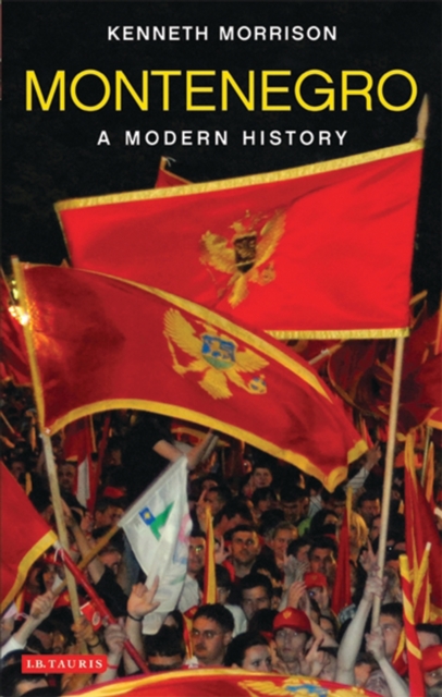 Montenegro : A Modern History, PDF eBook