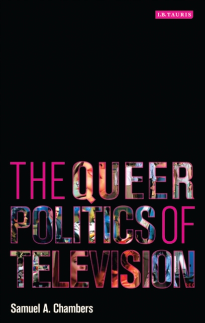 The Queer Politics of Television, PDF eBook