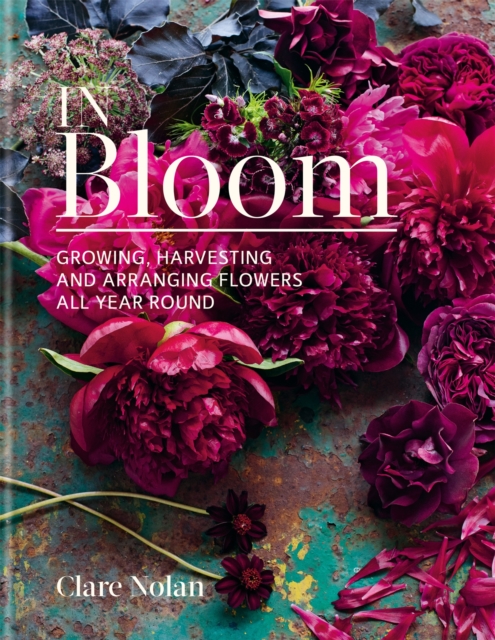 In Bloom : Growing, harvesting and arranging flowers all year round, Hardback Book