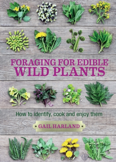 Foraging for Edible Wild Plants : How to Identify, Cook and Enjoy Them, EPUB eBook