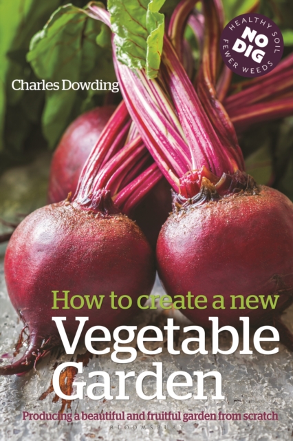 How to create a New Vegetable Garden : Producing a beautiful and fruitful garden from scratch, Paperback / softback Book