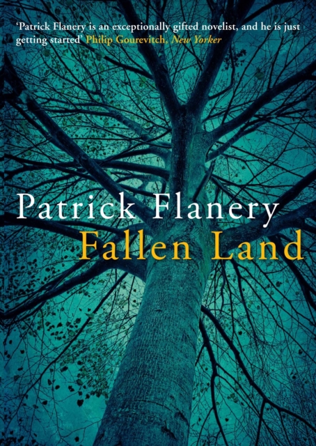 Fallen Land, Hardback Book