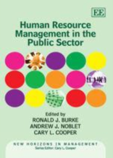 Human Resource Management in the Public Sector, PDF eBook