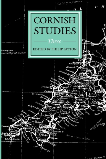 Cornish Studies Volume 3, Paperback / softback Book