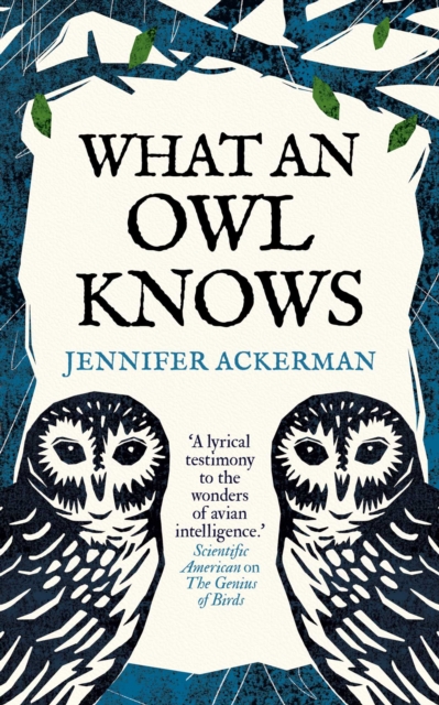 What an Owl Knows : The New Science of the World's Most Enigmatic Birds, EPUB eBook