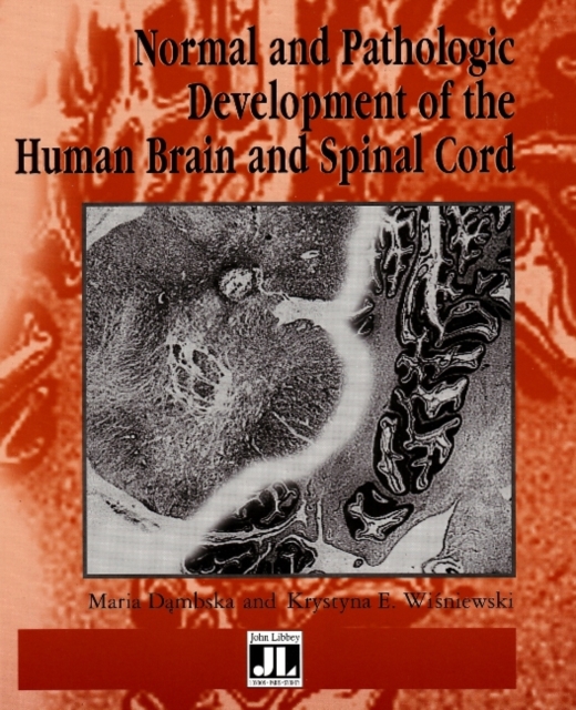 Normal & Pathologic Development of the Human Brain & Spinal Cord, Paperback / softback Book