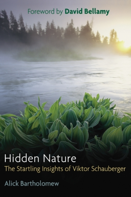 Hidden Nature : The Startling Insights of Viktor Schauberger, Paperback / softback Book