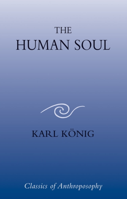 The Human Soul, Paperback / softback Book