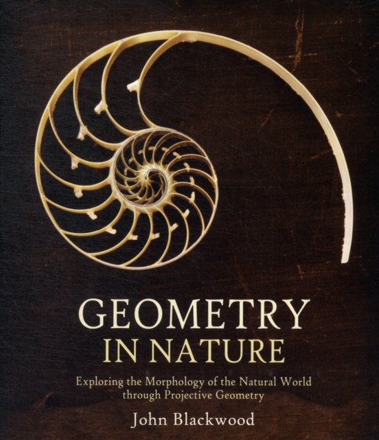 Geometry in Nature : Exploring the Morphology of the Natural World Through Projective Geometry, Paperback Book