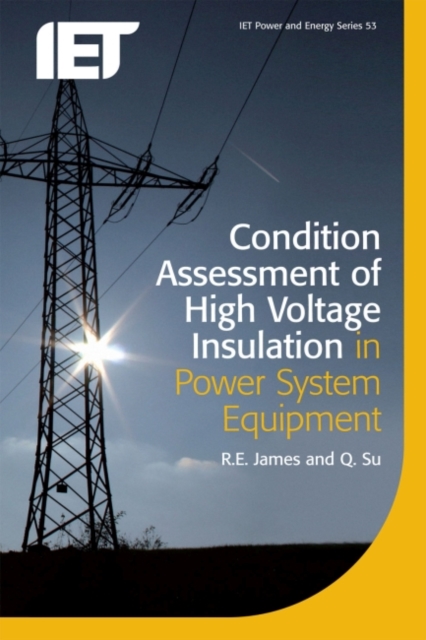 Condition Assessment of High Voltage Insulation in Power System Equipment, Paperback / softback Book