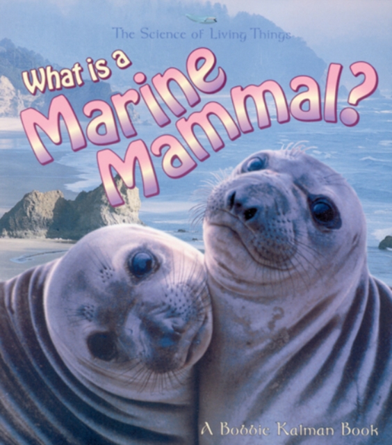 What Is A Marine Mammal, Paperback / softback Book