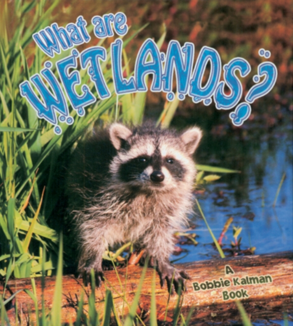 What Are Wetlands, Paperback / softback Book