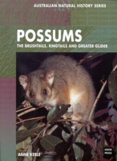 Possums : the Brushtails, Ringtails and Greater Glider, Paperback / softback Book