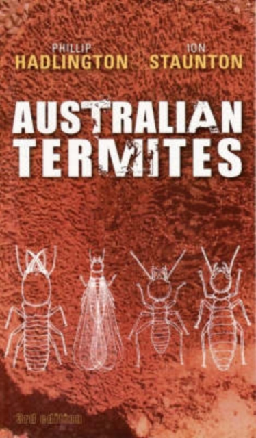 Australian Termites, Paperback / softback Book