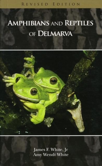 Amphibians and Reptiles of Delmarva, Paperback / softback Book