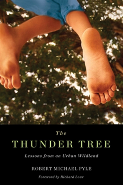 Thunder Tree : Lessons from an Urban Wildland, Paperback / softback Book