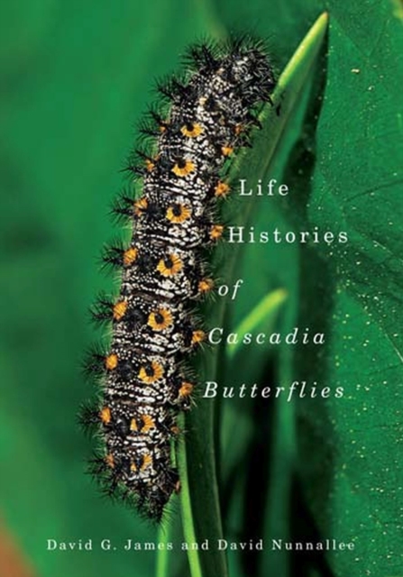 Life Histories of Cascadia Butterflies, Paperback / softback Book