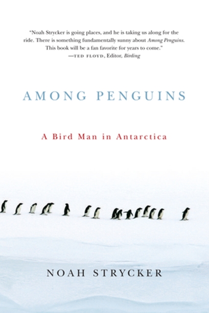 Among Penguins : A Bird Man in Antarctica, Paperback / softback Book