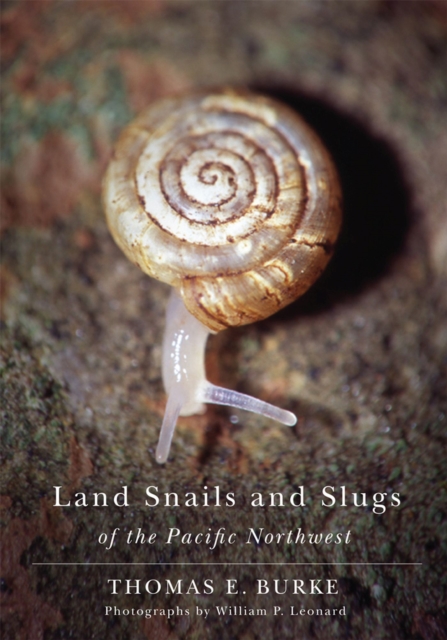 Land Snails and Slugs of the Pacific Northwest, Paperback / softback Book