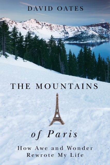 The Mountains of Paris : How Awe and Wonder Rewrote My Life, Paperback / softback Book