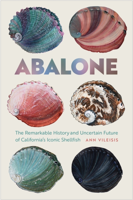 Abalone : The Remarkable History and Uncertain Future of California's Iconic Shellfish, Paperback / softback Book