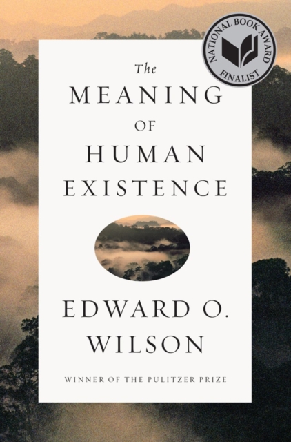 The Meaning of Human Existence, Hardback Book
