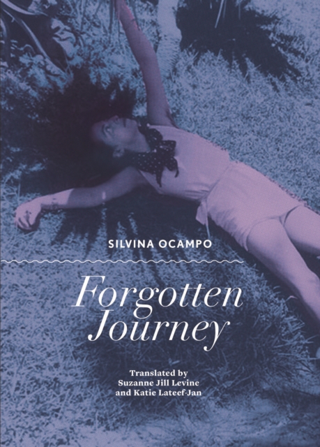 Forgotten Journey, Paperback / softback Book