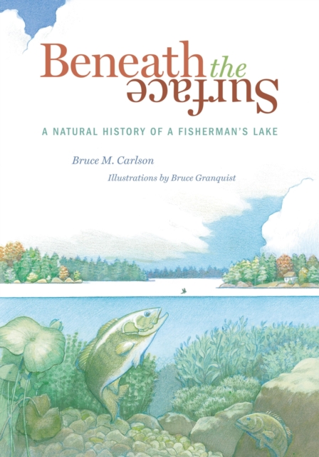 Beneath The Surface : A Natural History of a Fisherman's Lake, EPUB eBook