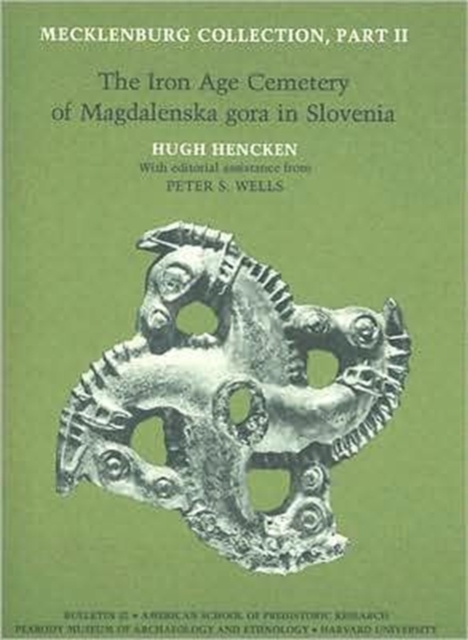Mecklenburg Collection : The Iron Age Cemetery of Magdalenska gora in Slovenia Part II, Paperback / softback Book