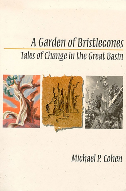 A Garden of Bristlecones : Tales of Change in the Great Basin, Paperback / softback Book